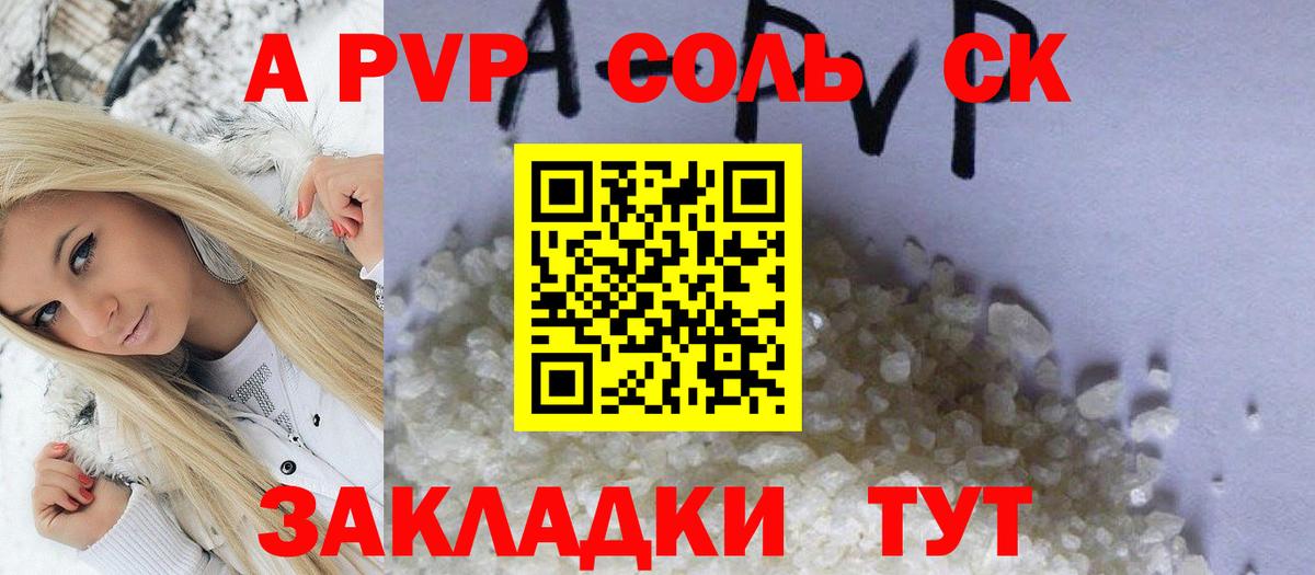 Кандалакша  Альфа ПВП СК  Альфа ПВП  Вход с VPN  Alpha-PVP СК КРИС 