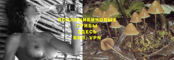 гидра Абинск