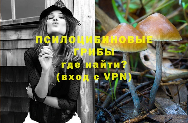 тгк Покровск