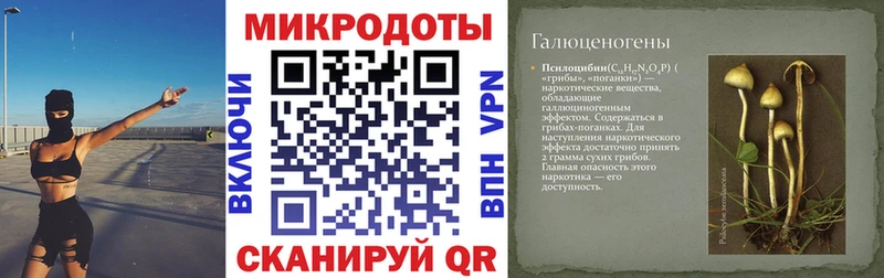 Галлюциногенные грибы Psilocybine cubensis  магазин продажи наркотиков  Кандалакша 