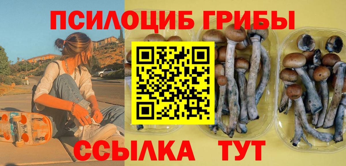 Псилоцибиновые грибы прущие грибы Кандалакша