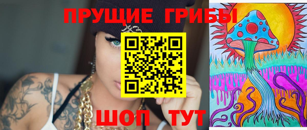 Кандалакша  Псилоцибиновые грибы Cubensis  Вход с VPN  Галлюциногенные грибы Cubensis 